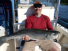 Mike's live lined striped bass